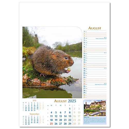 Additional Image 5 - a blurry image of a brown animal