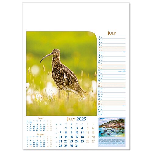 Additional Image 6 - a bird on a white background