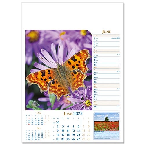 Additional Image 7 - a butterfly on a flower