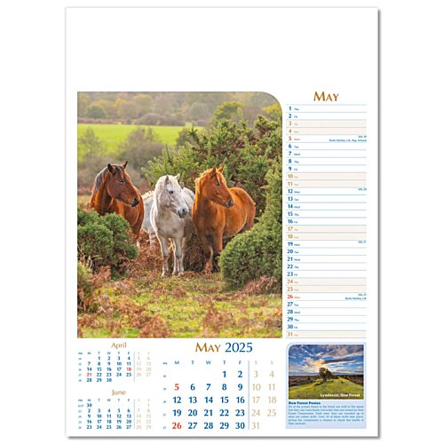 Additional Image 8 - a calendar page with trees and grass
