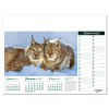 a group of cats on a calendar