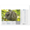 View Image 2 of 13 of Wall Calendar - Born Free