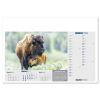 View Image 4 of 13 of Wall Calendar - Born Free