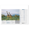 View Image 7 of 13 of Wall Calendar - Born Free