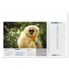 View Image 8 of 13 of Wall Calendar - Born Free