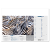View Image 9 of 13 of Wall Calendar - Born Free