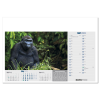 View Image 11 of 13 of Wall Calendar - Born Free