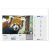 View Image 12 of 13 of Wall Calendar - Born Free