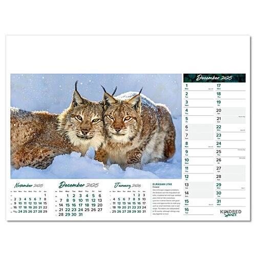 Additional Image 1 - a group of cats on a calendar