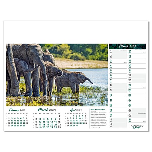 Additional Image 10 - a group of elephants in a pond