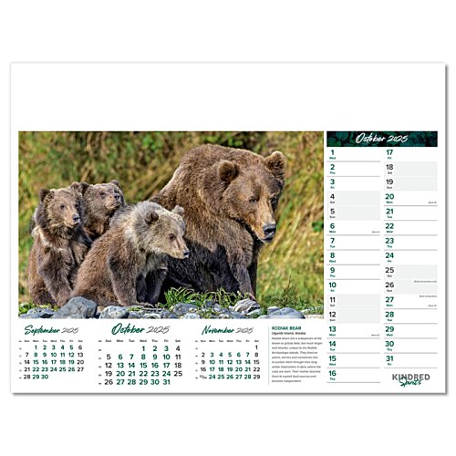 Additional Image 3 - a group of bears in a field
