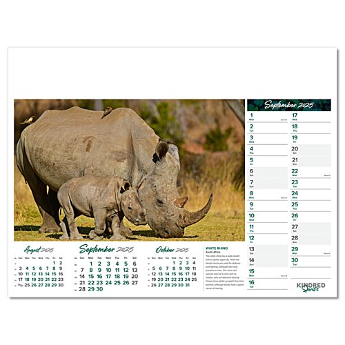 Additional Image 4 - a close-up of a rhinoceros