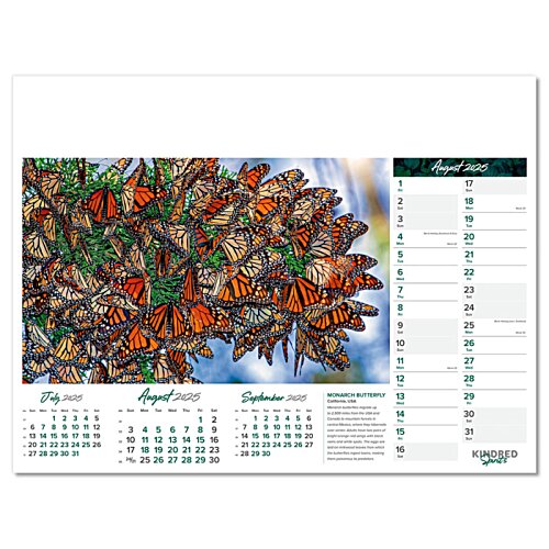Additional Image 5 - a close-up of a calendar