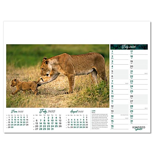 Additional Image 6 - a tiger and cub in grass