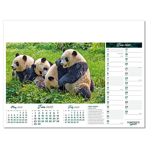 Additional Image 7 - a pandas lying on the grass