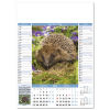 View Image 5 of 7 of Wall Calendar - Nature Notes