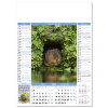 View Image 6 of 7 of Wall Calendar - Nature Notes