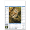 View Image 7 of 7 of Wall Calendar - Nature Notes