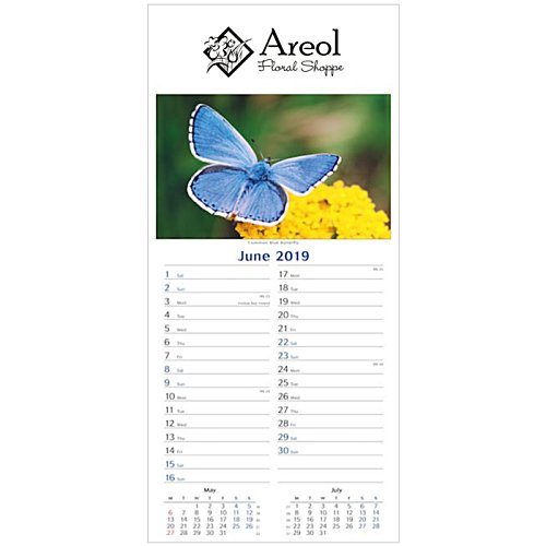 Additional Image 1 - a blue butterfly on a yellow shirt