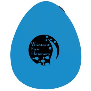 Additional Image 1 - a blue egg with a black circle