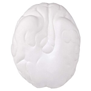 Additional Image 2 - a white brain with a white background