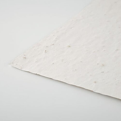 Additional Image 4 - a white piece of paper