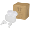 Additional Thumbnail Image 3 - a box with a white container and ear buds