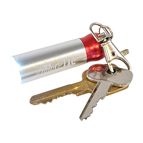 Additional Image 3 - a keychain with a red cap