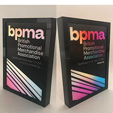 Side-by-side of two awards.