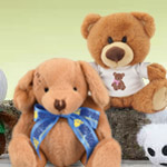 Promotional toys and novelty items that include fidget toys and teddy bears