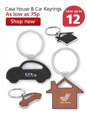 Auto Car Keyring
